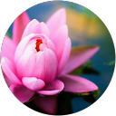 Hetal Vohra profile picture